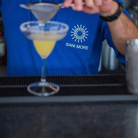 Sani