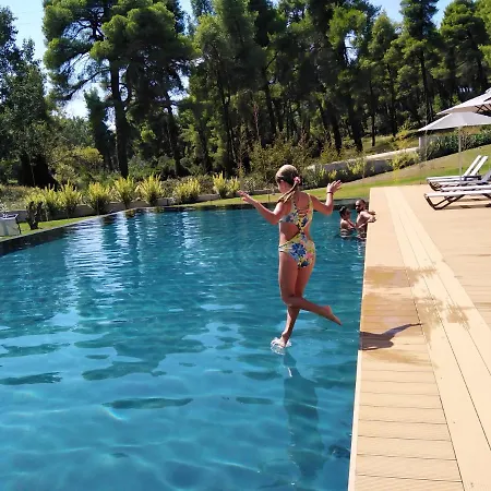 Sani Daire Sani (Chalkidiki)