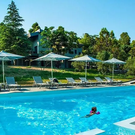 Sani Daire Sani (Chalkidiki)