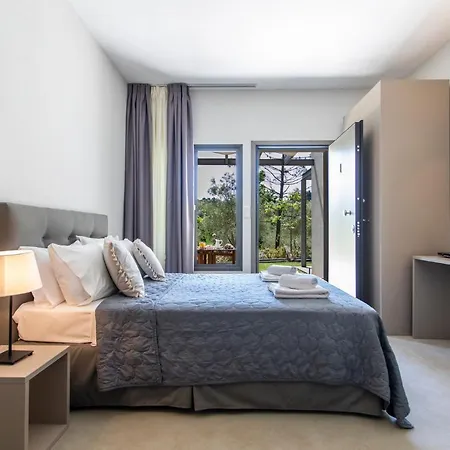 Sani Sani (Chalkidiki)