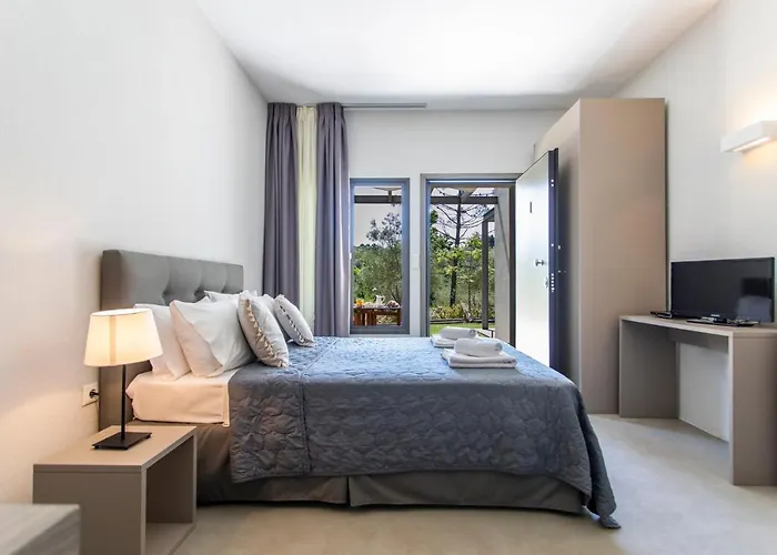 Sani Sani (Chalkidiki)